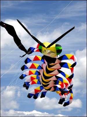 sunderland kite festival 4 300x400