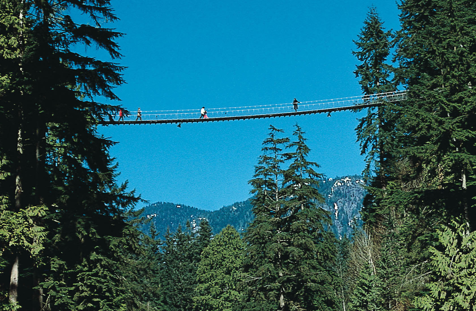 Capilano Suspension Bridge