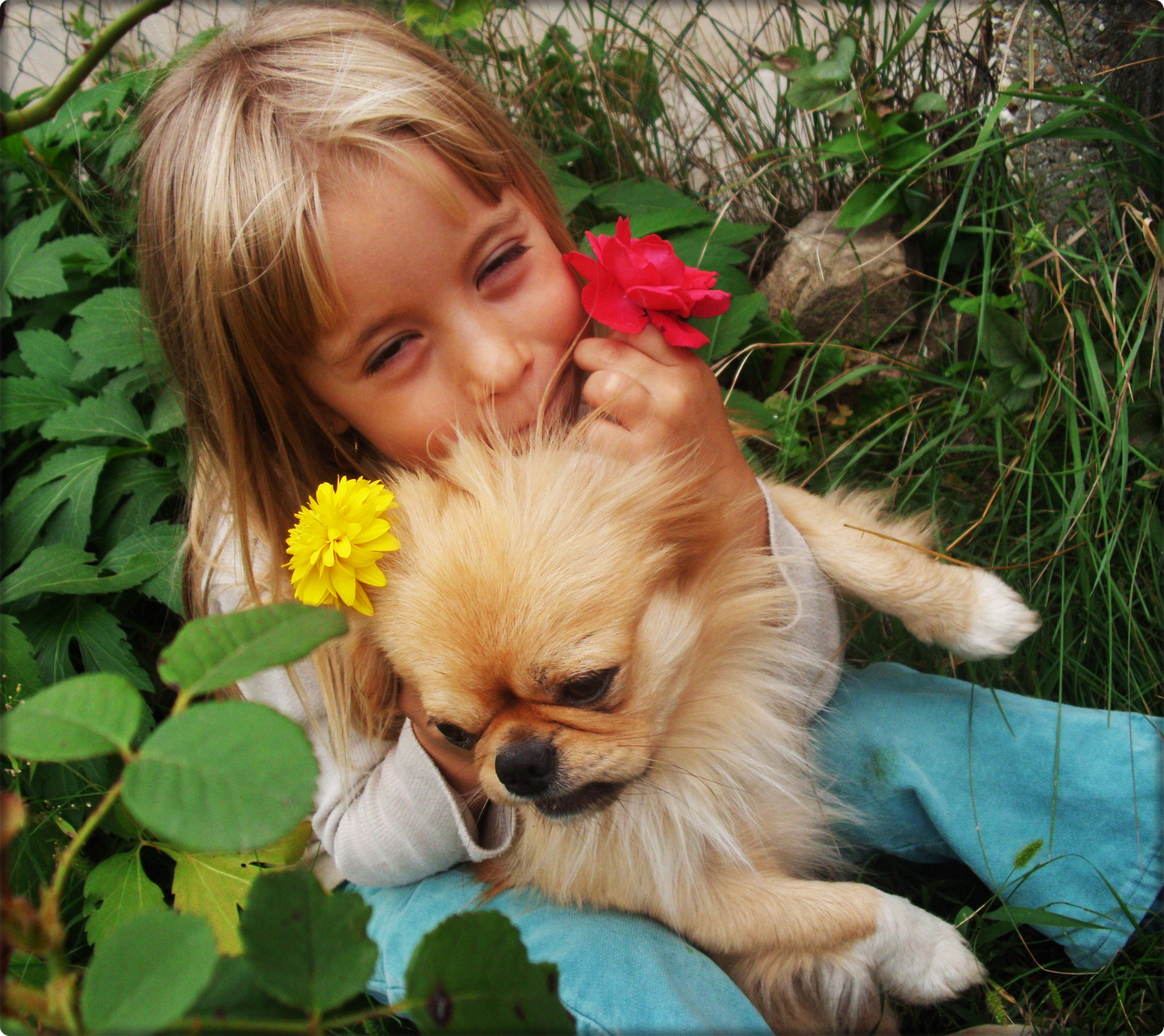 Gyermek és kutya barátsága ♥