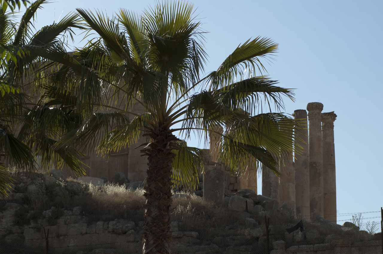 Jerash Day2 014