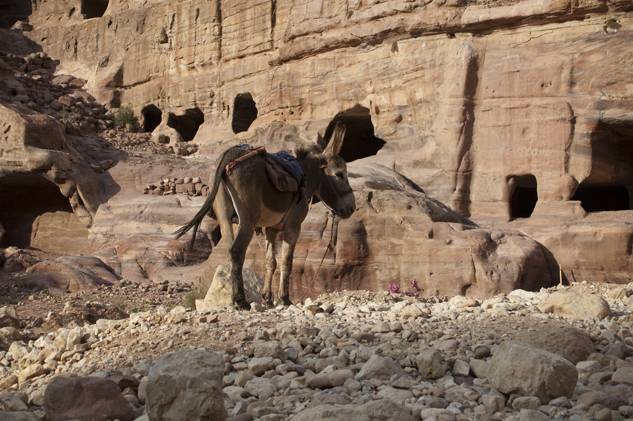 Petra Day3 043