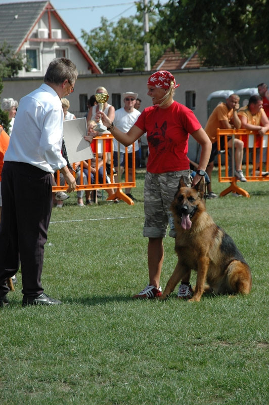 Einsamer Wolf Kennel