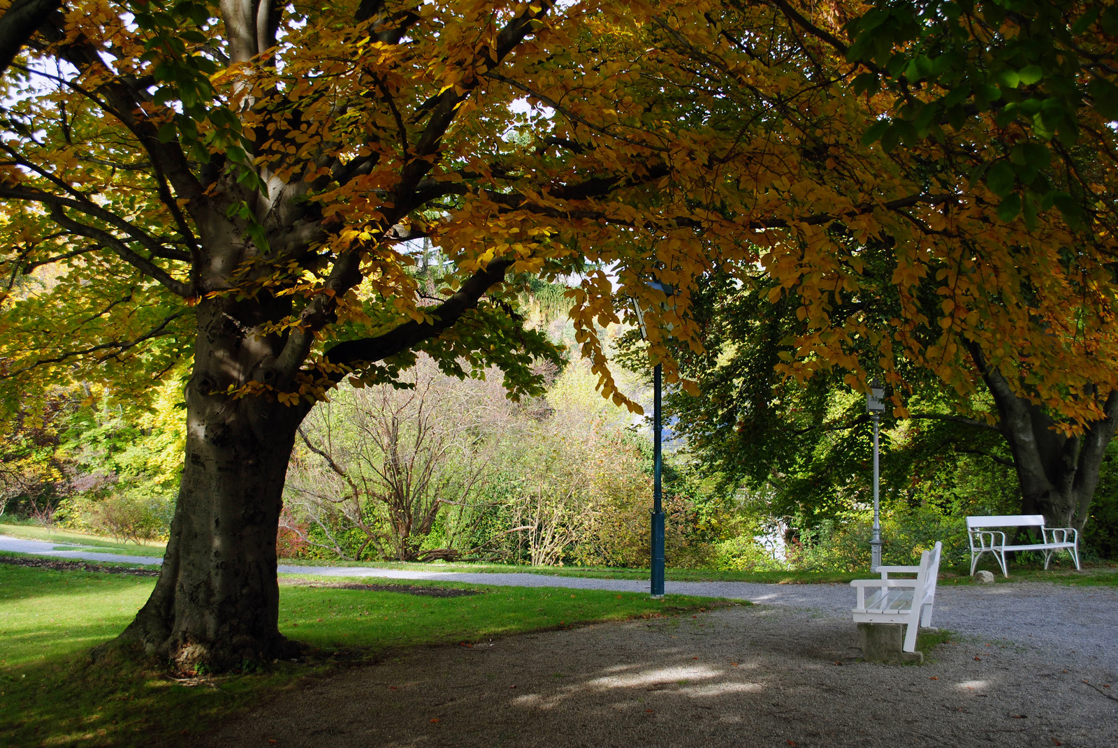 autumn solitude