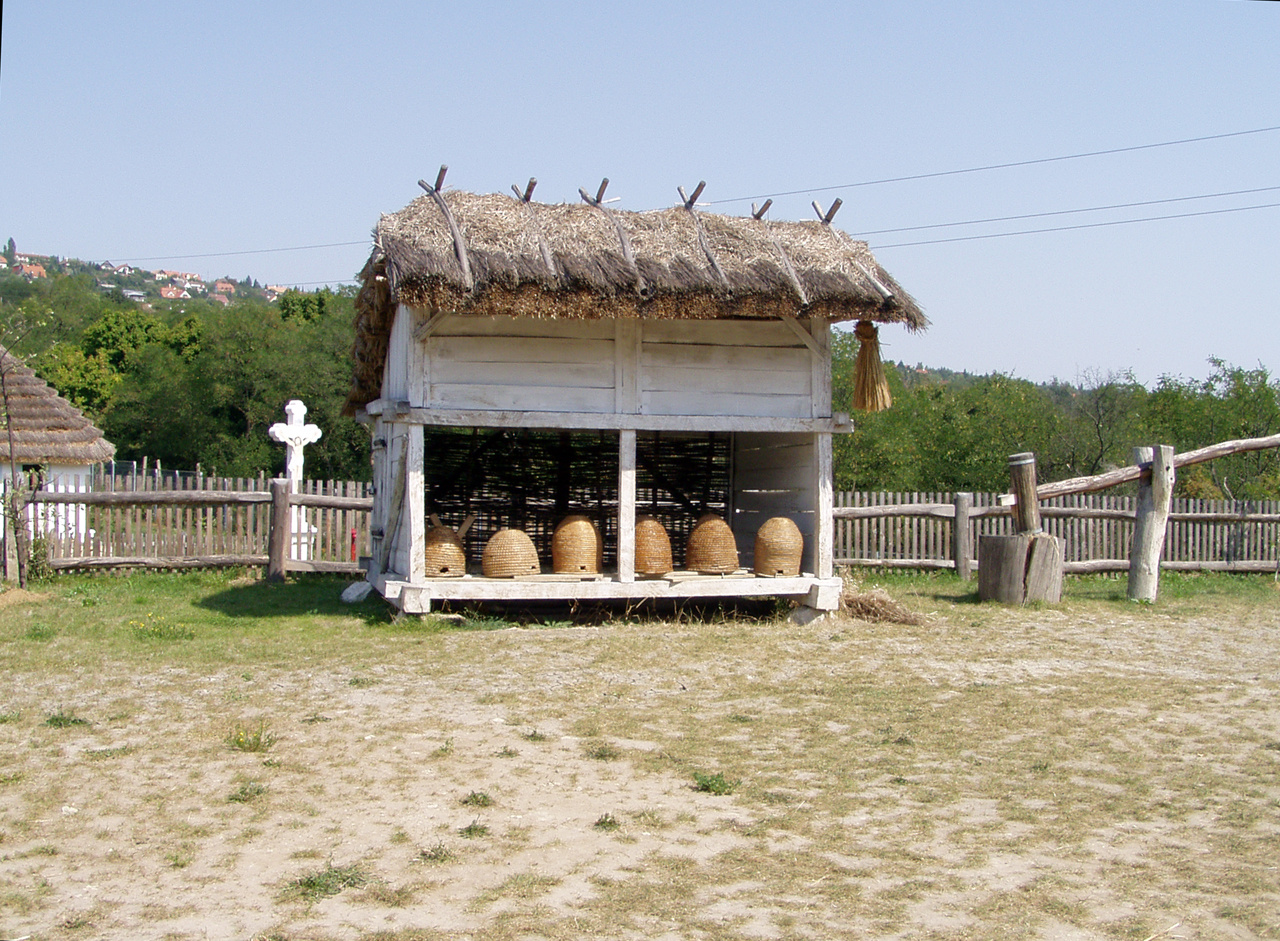 Skanzen P8250093