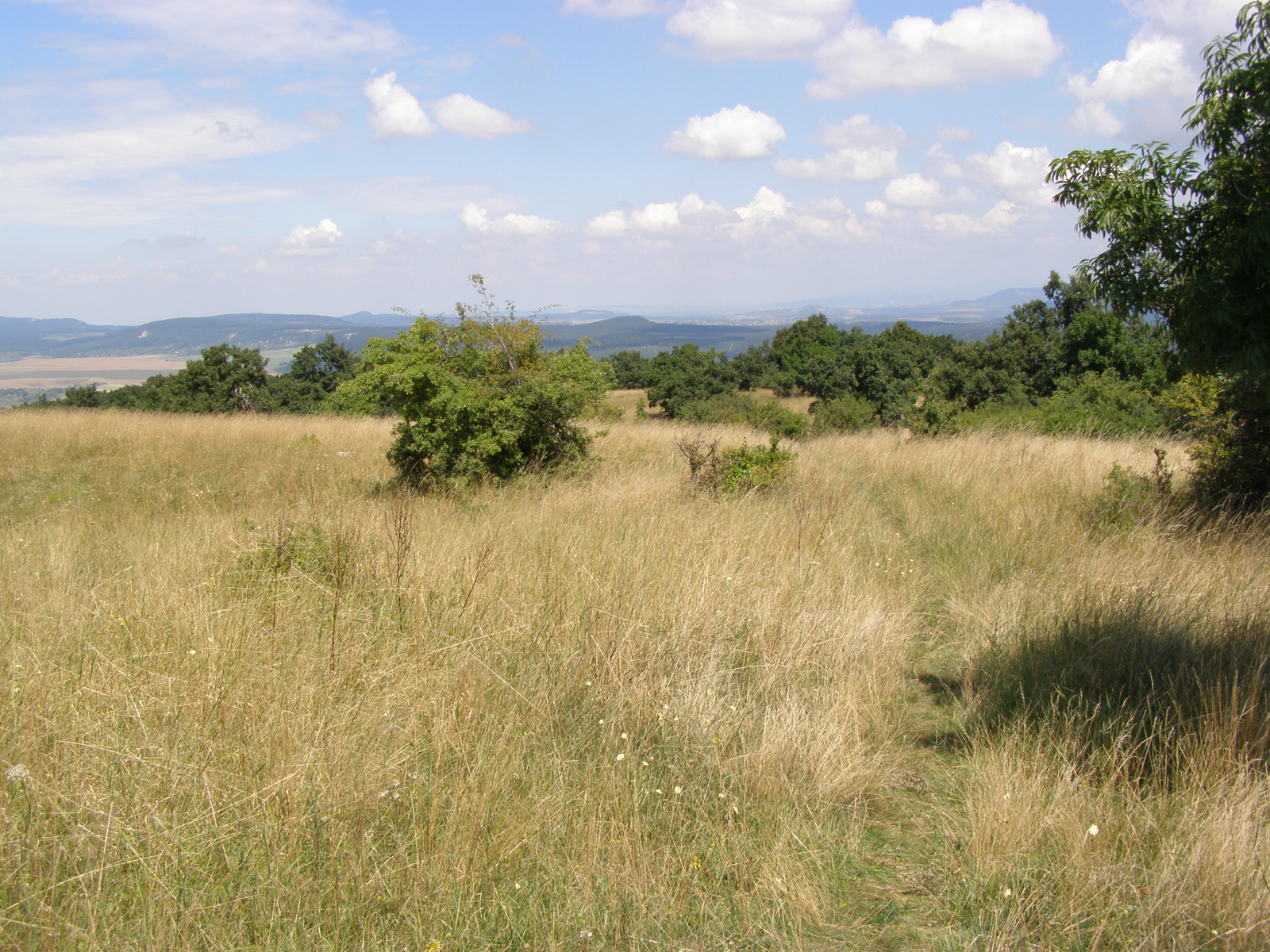 2 - Somlyó hegytető