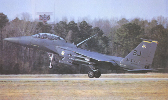 F-15E dorsal brake