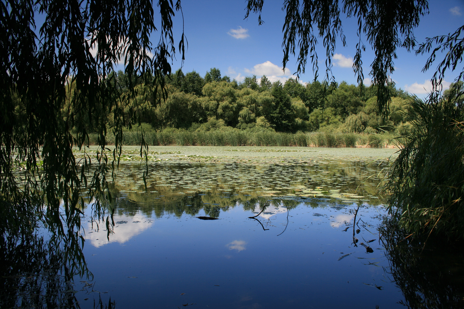 Reflections