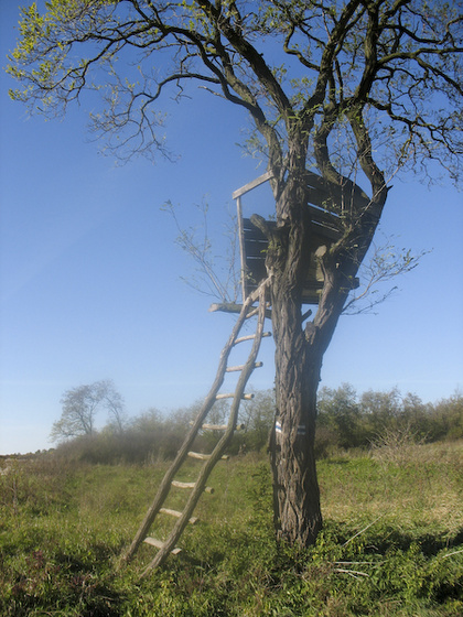 071013 Koldusszállás Szárliget-0720