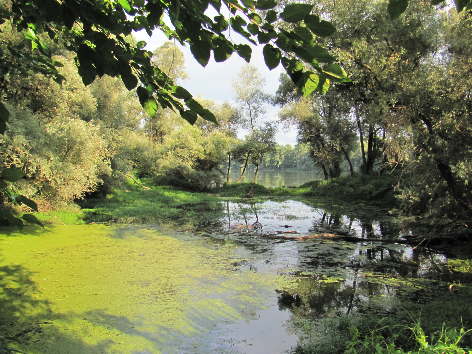 2011.07.31.Bicaj Dráváig 038