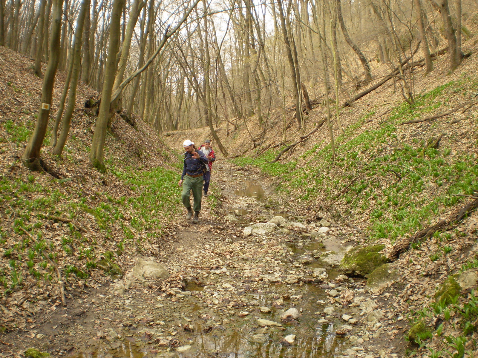 Nagy Kő oldal