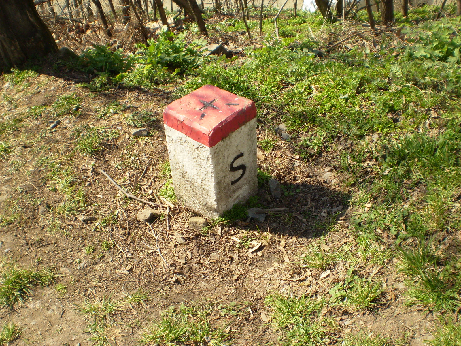 20090404Somoskő 009