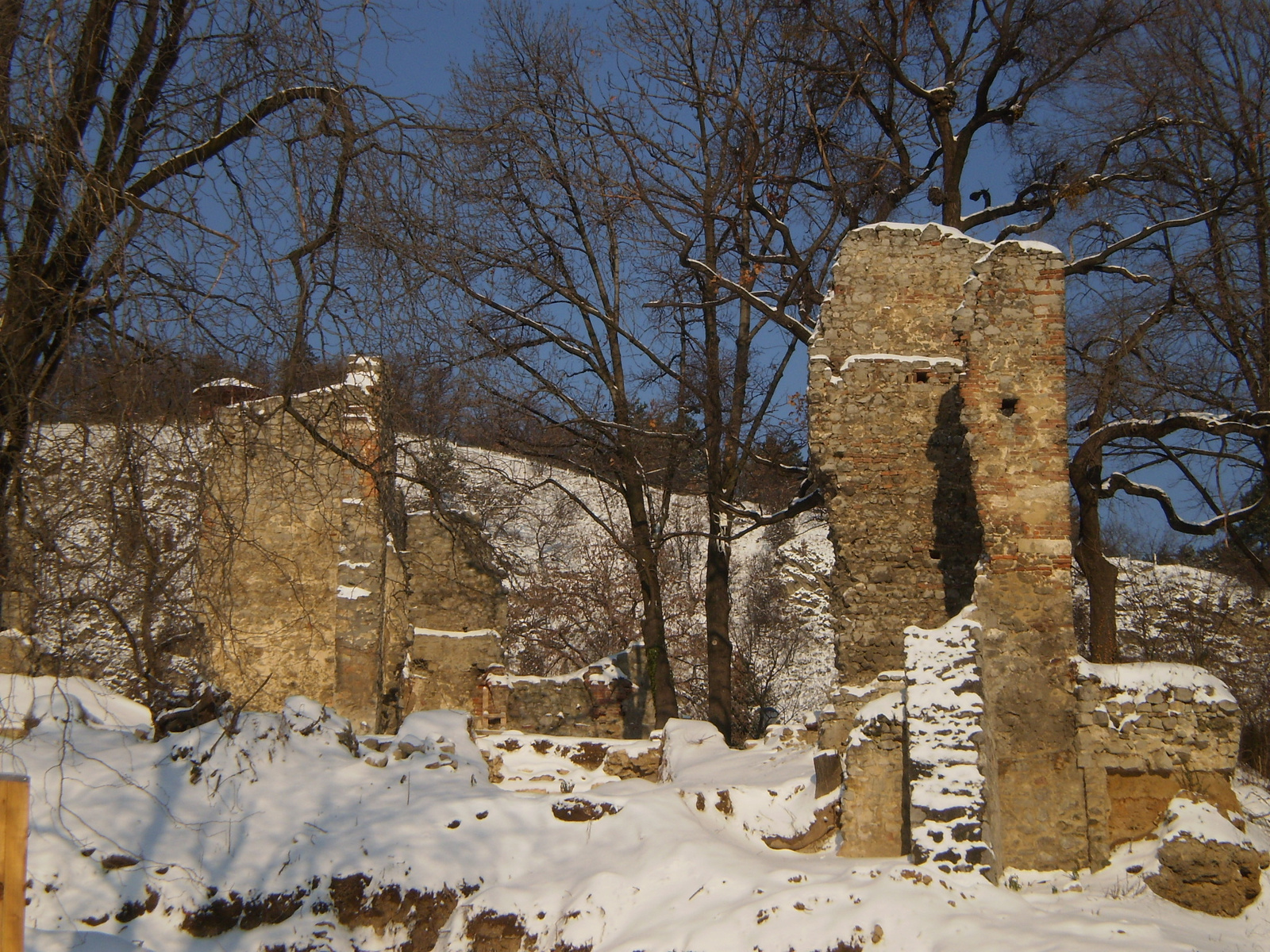 20091220Téli séta a Mecseki parkerdőben 006