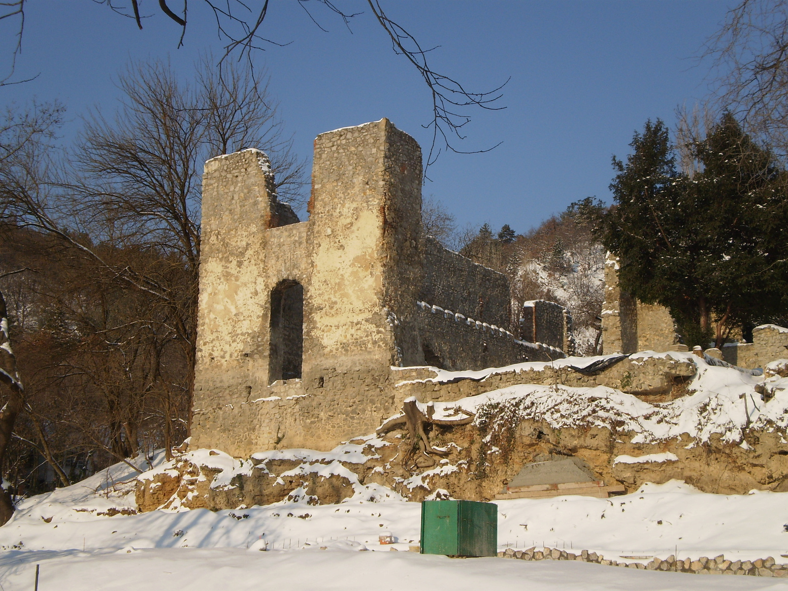 20091220Téli séta a Mecseki parkerdőben 007