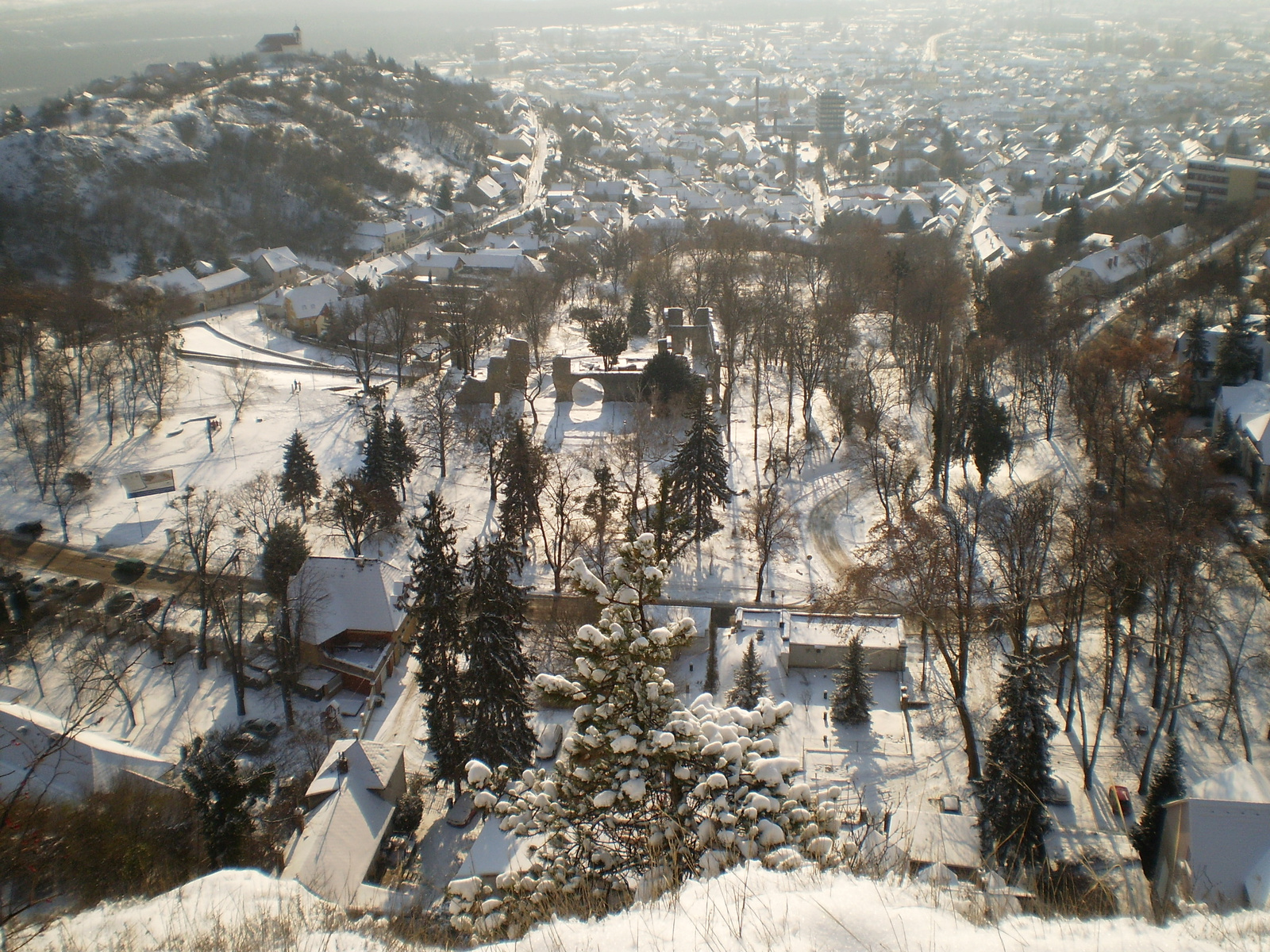 20091220Téli séta a Mecseki parkerdőben 032