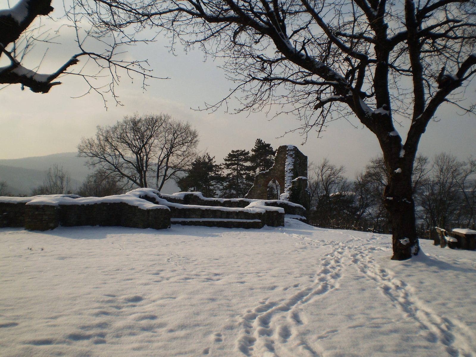 20100123Mecseknádasd Várhegy