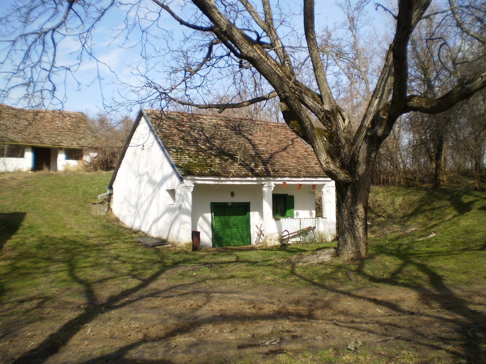 20100227Túrony-Bisse-Csarnóta 52