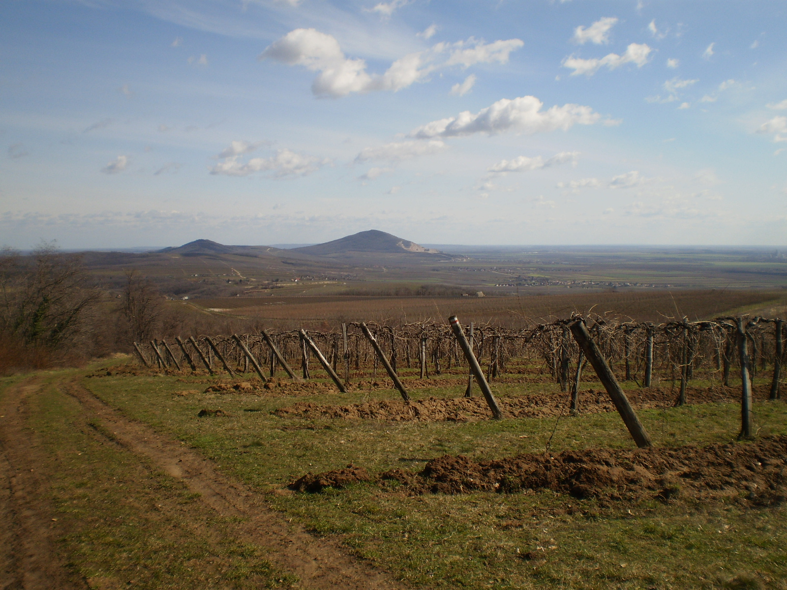 20100227kilátás a Csukma hegyről