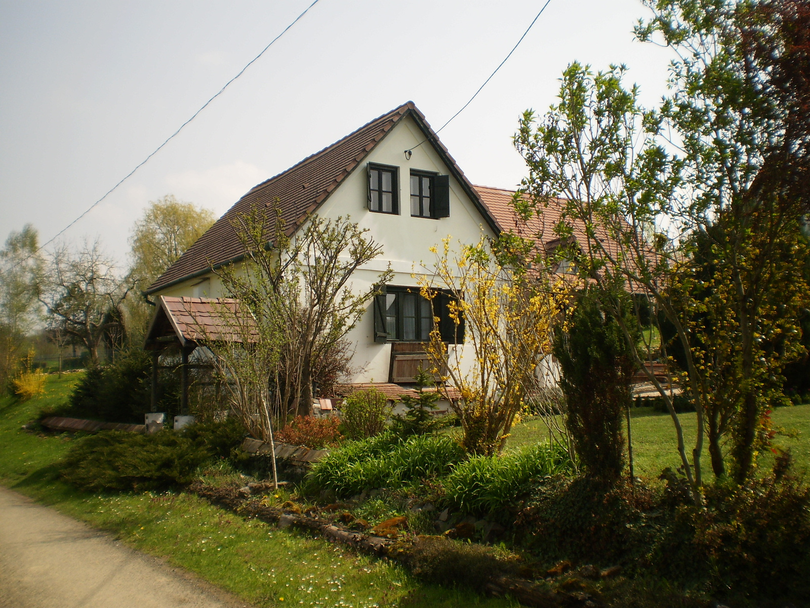 20100417Kovácsszénája