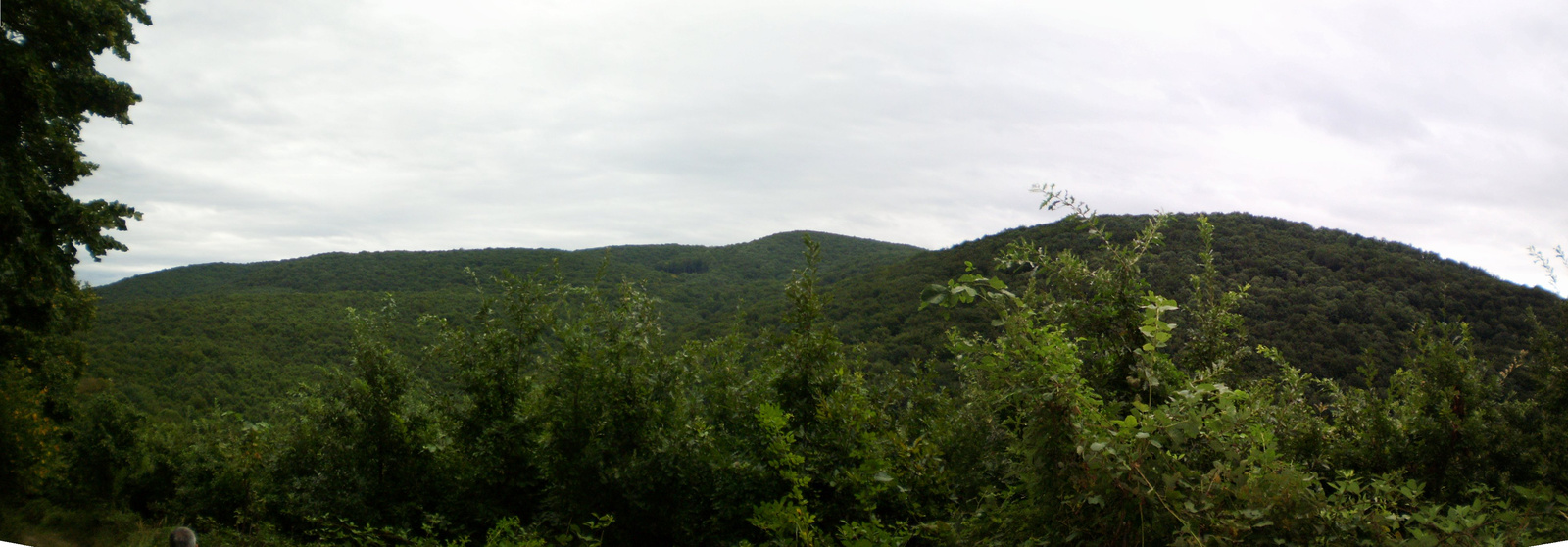 20100828K-Mecek barangolások