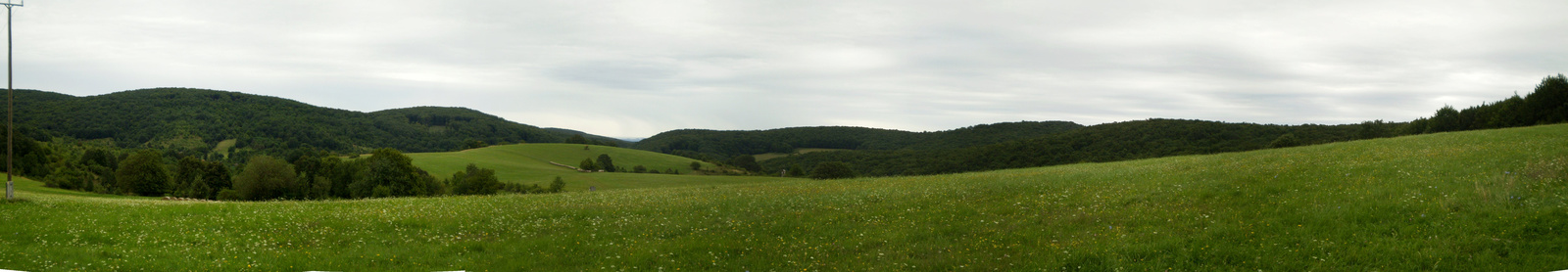 20100828Miske tető3