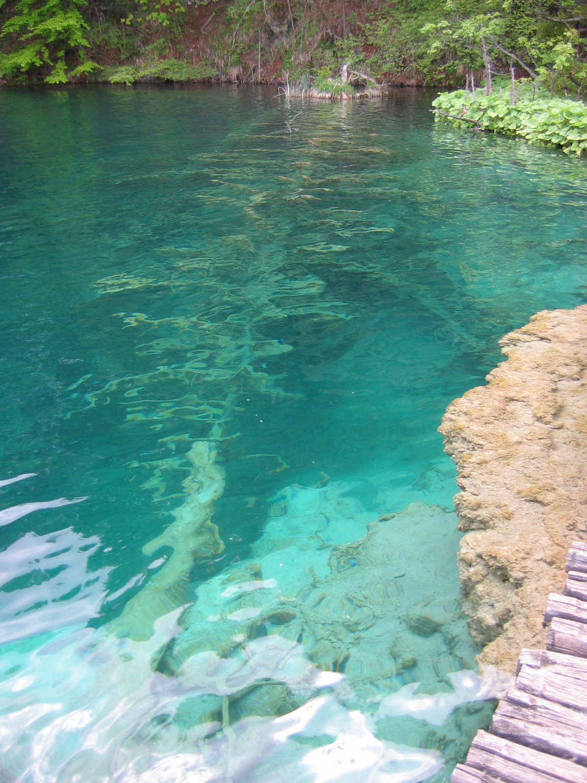 plitvice 2008 05 061