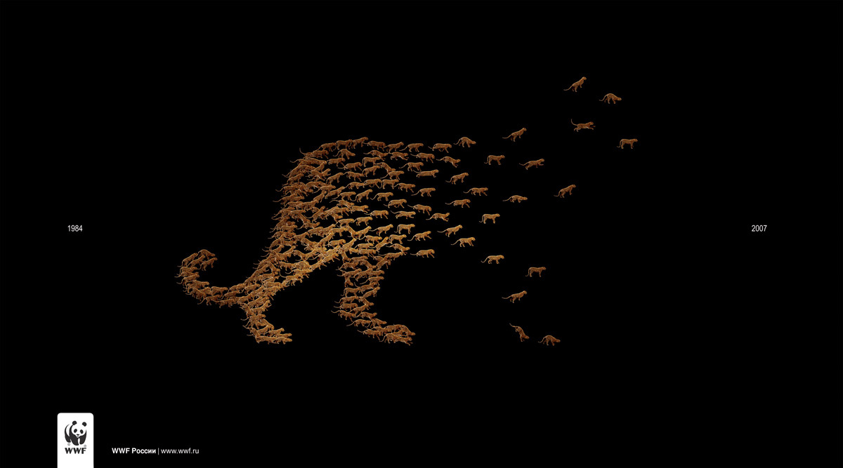 WWF Leopards ads