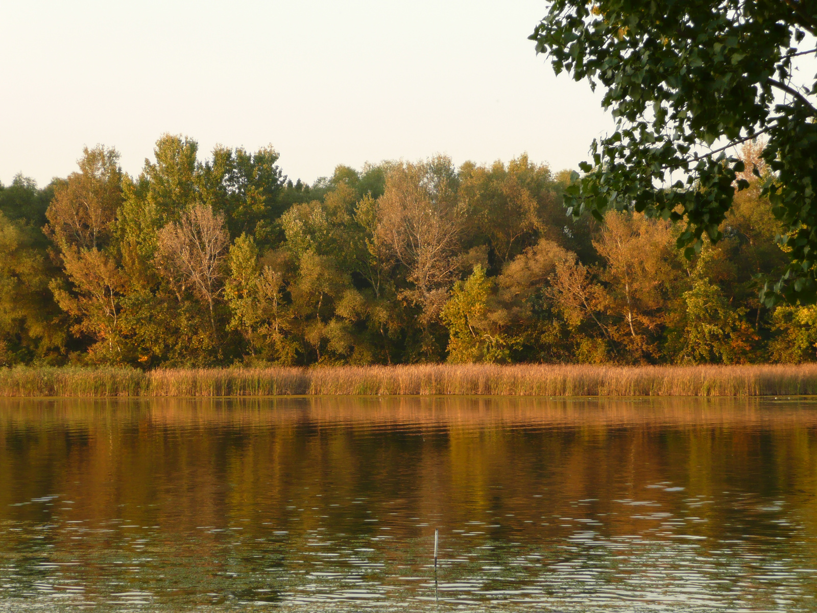 Füreden a tisza