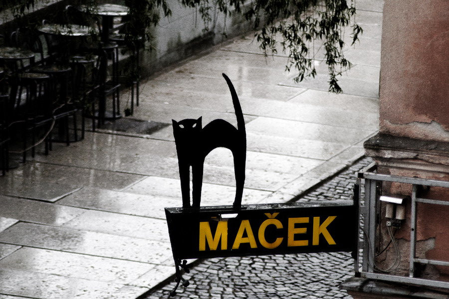 Macek