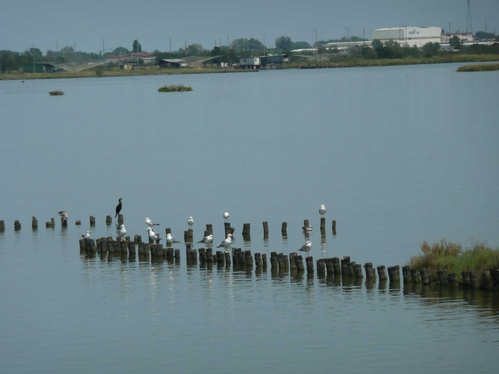 0835-Comacchio