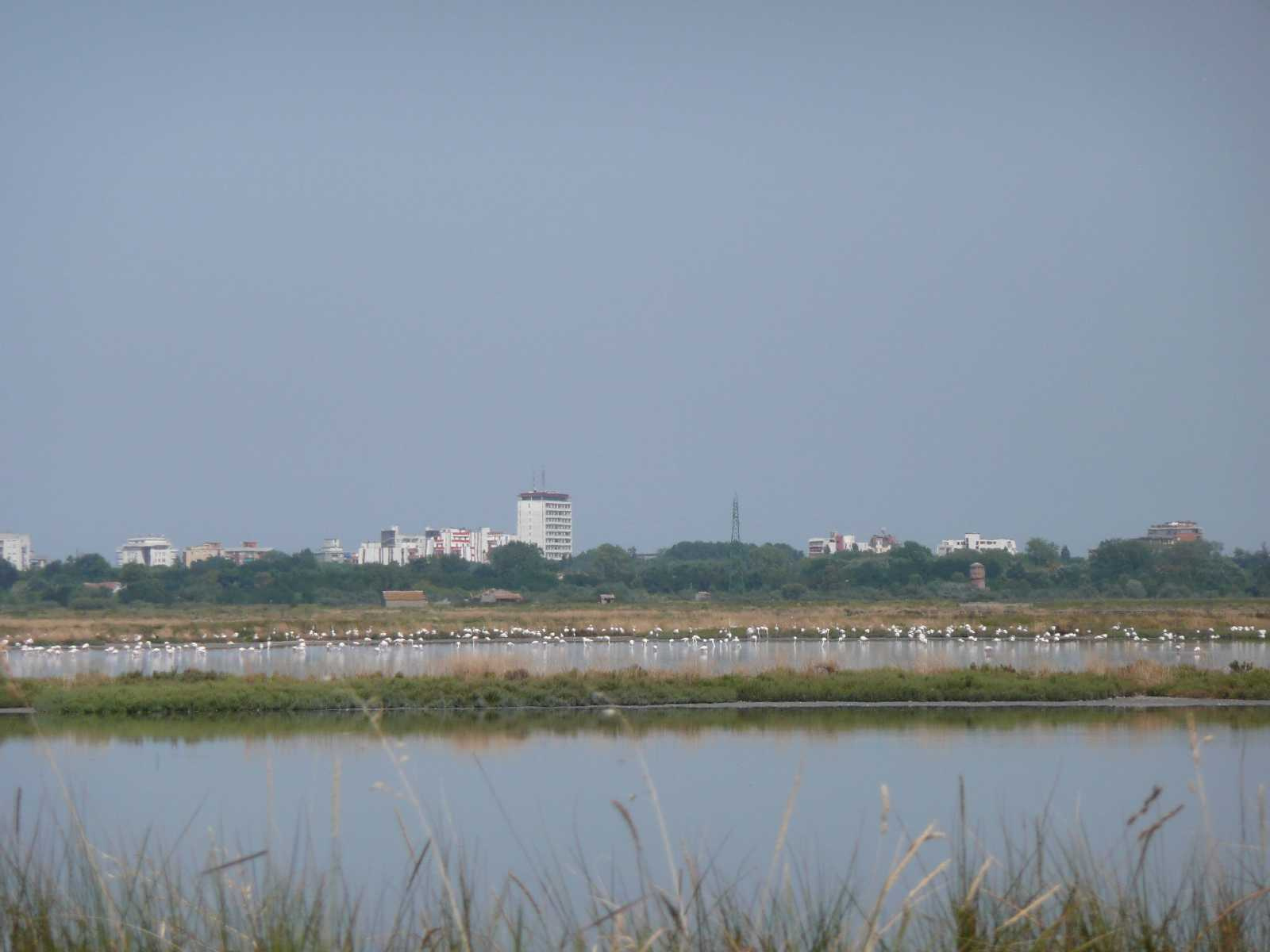 0867-Comacchio