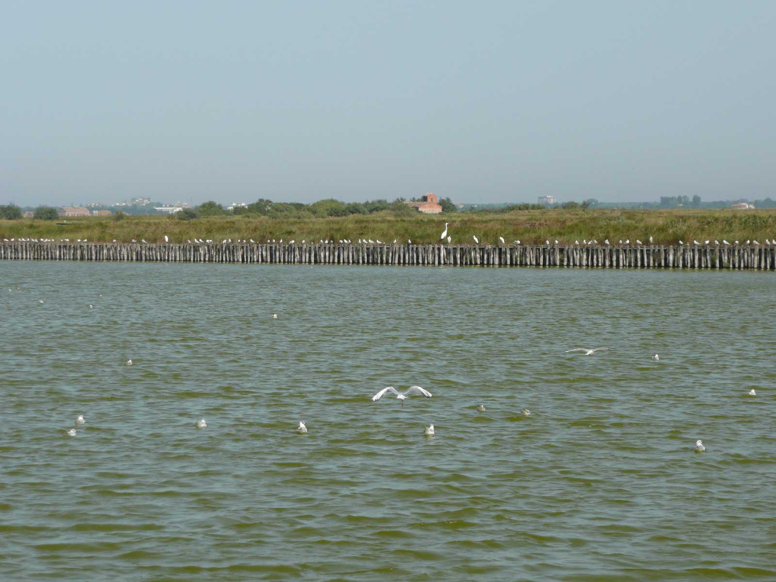 0956-Comacchio