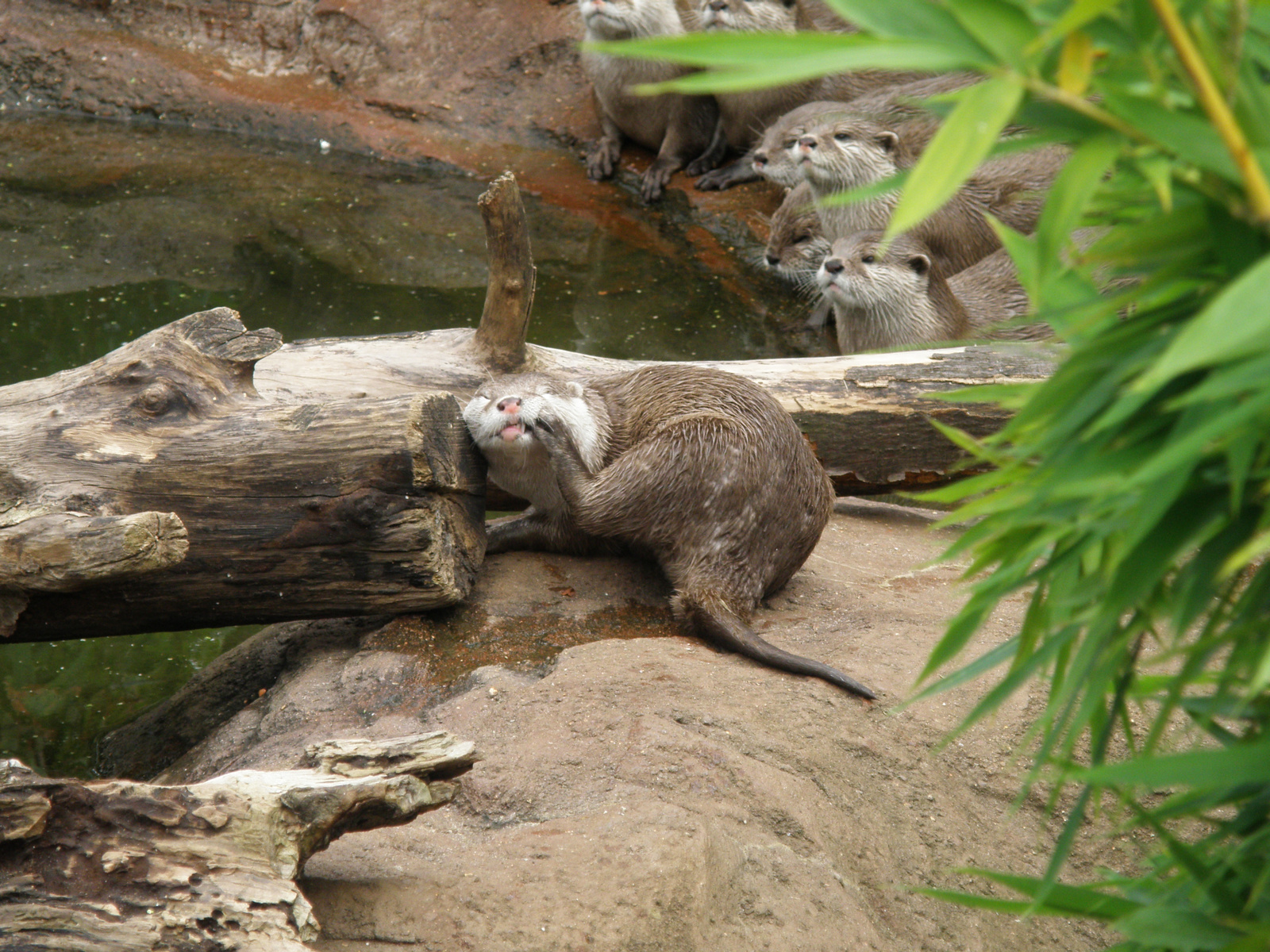 London Zoo