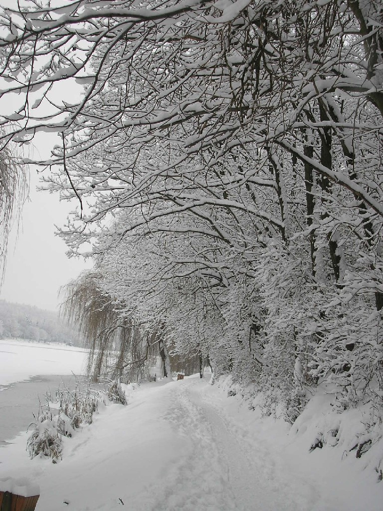 Malomvölgyi tó 051