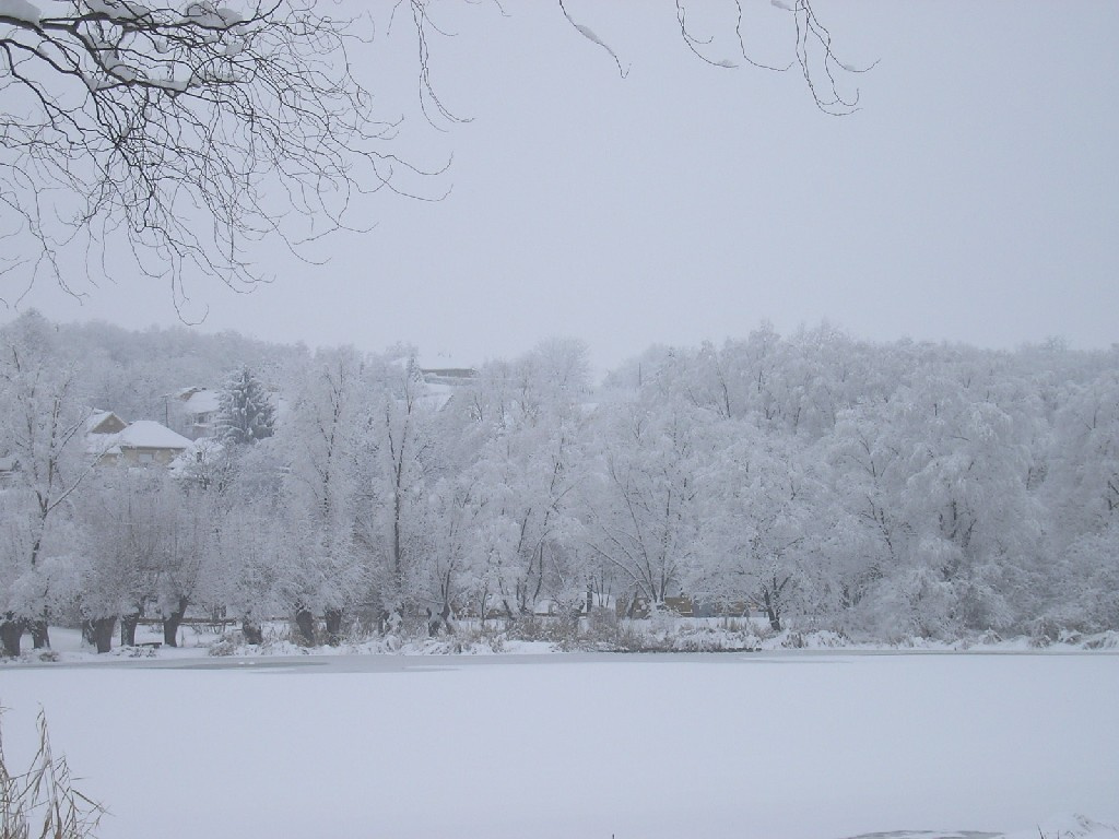 Pogányi tó 035