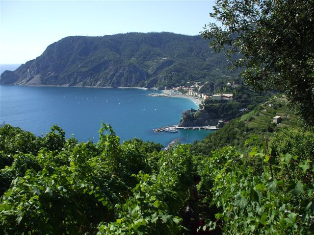 ösvényrõl, elõttünk monterosso