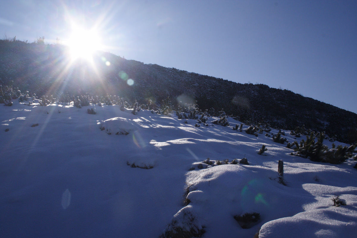 2010.01.Lengyel-Tatra-Monty09