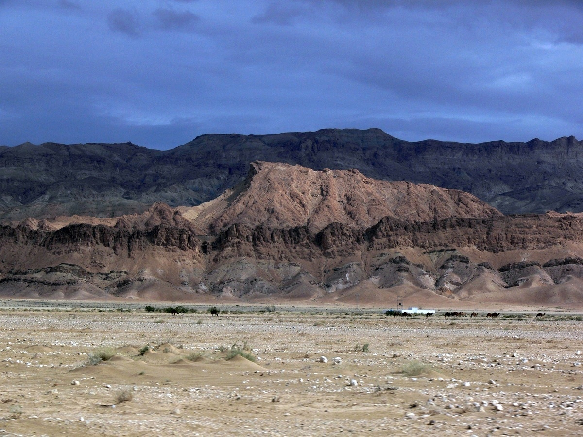 Chott El Jerid-06