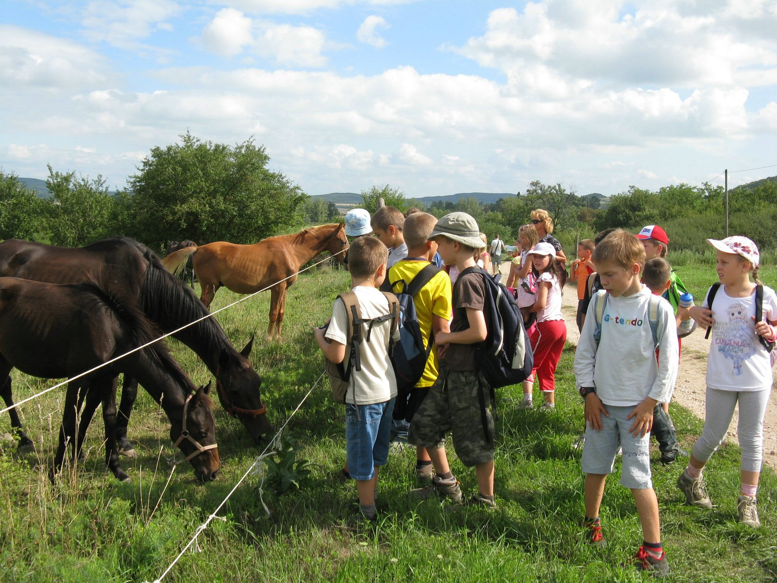 2011 2012 06 Nyári tábor - Mindszentkálla 01