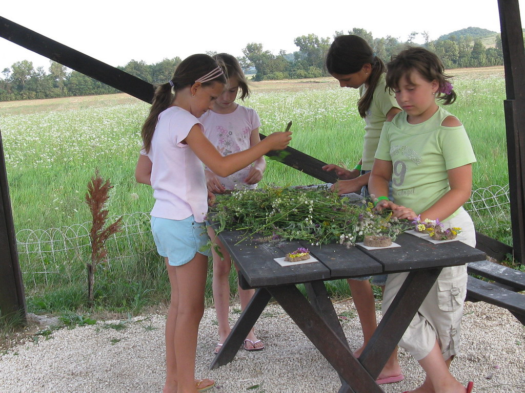 2009 2010 03 Mindszentkállai tábor 13