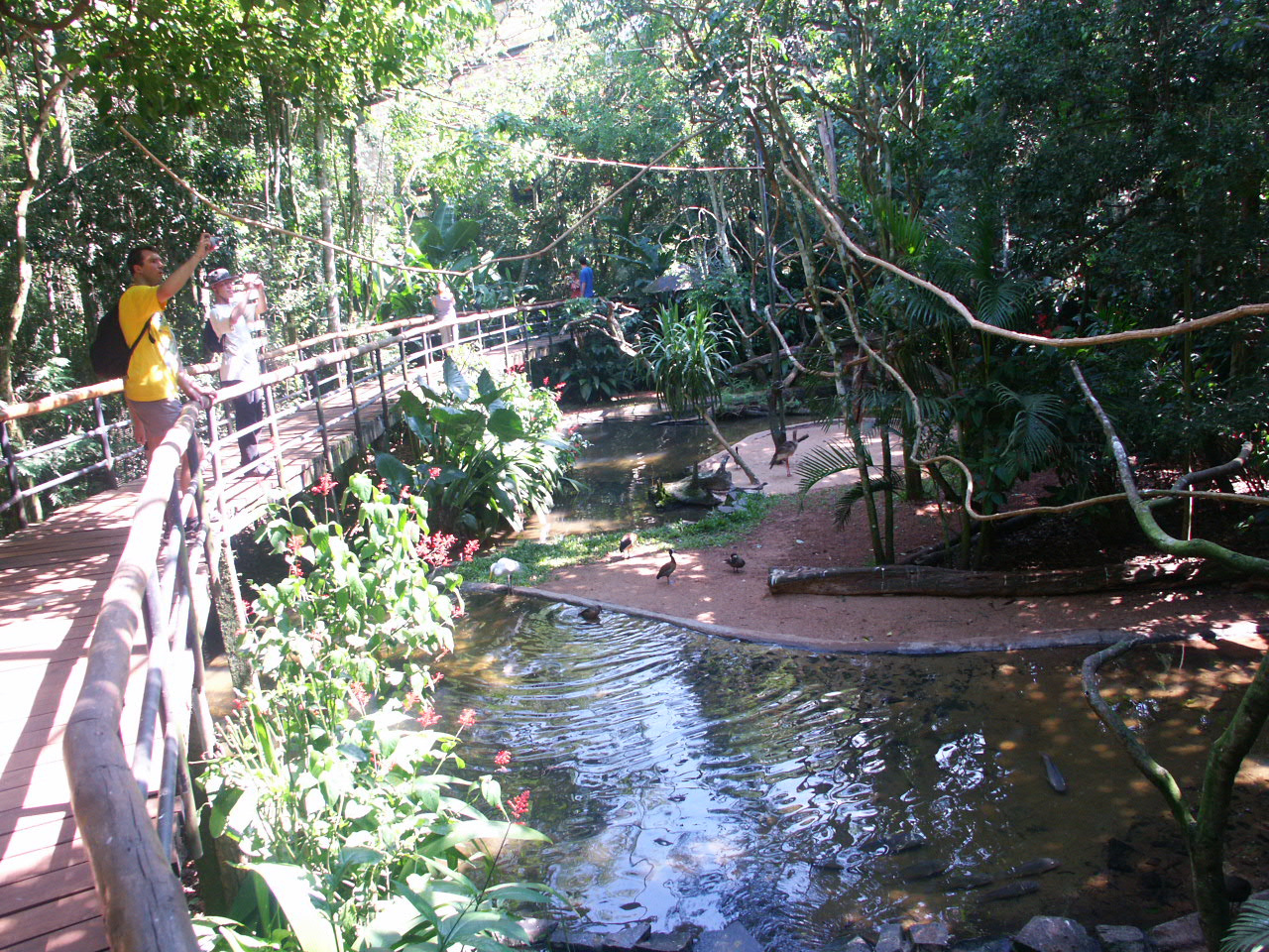 Iguazu 062