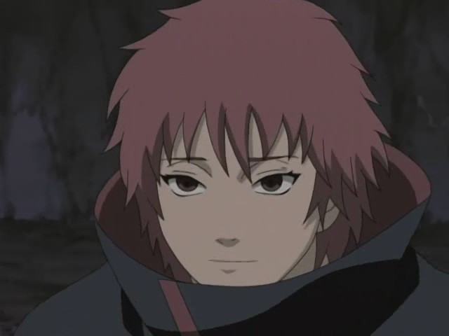 sasori-sasori-7655863-640-480