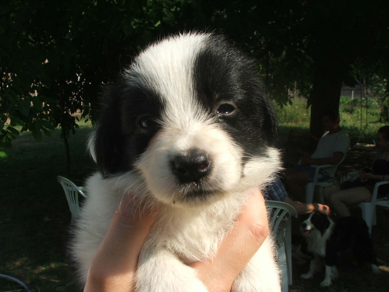 2011 .Lajosmizse-Forestry Farm 082