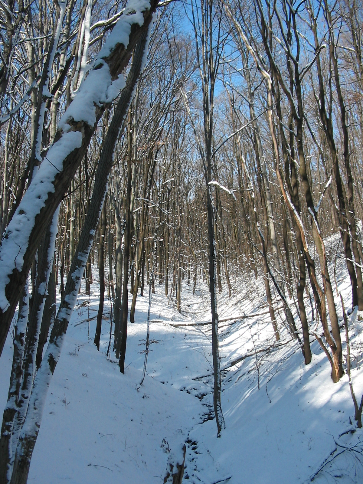 2010 02 02 Orfű-Égervölgy 067