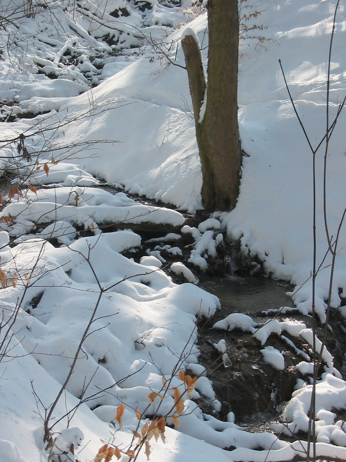 2010 02 09 Komló-Pécsbánya 058