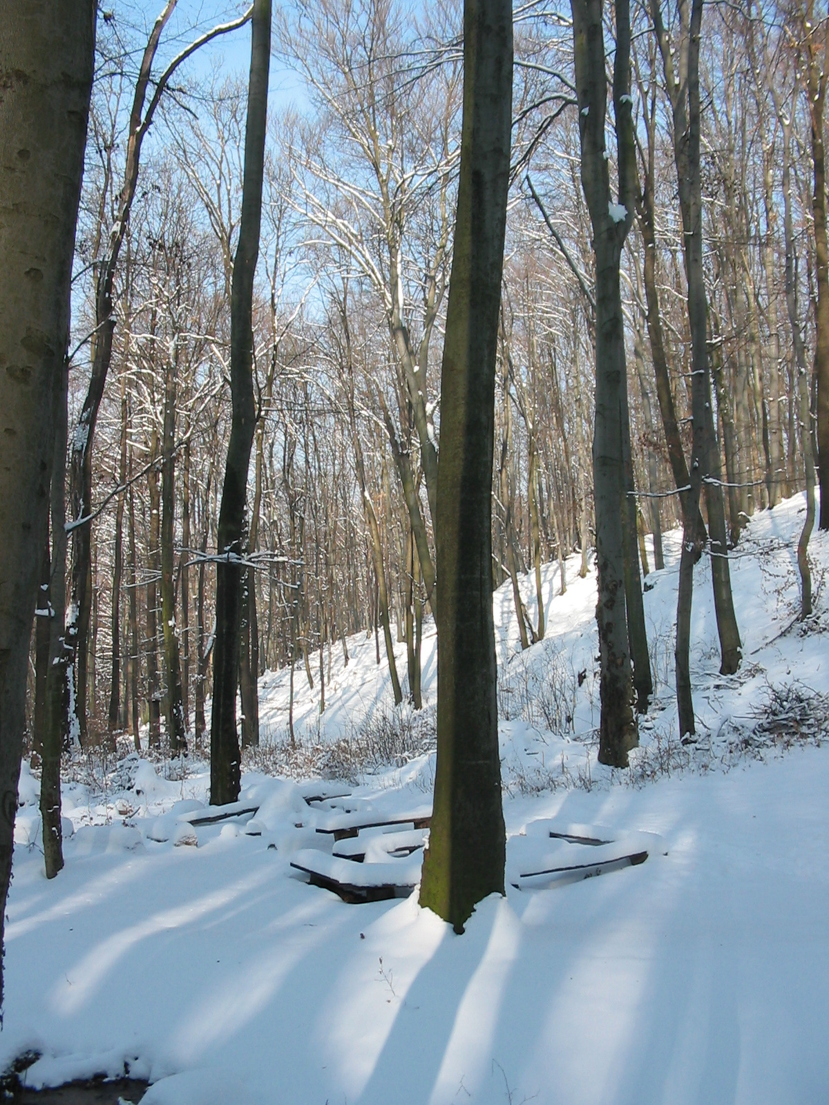 2010 02 09 Komló-Pécsbánya 066