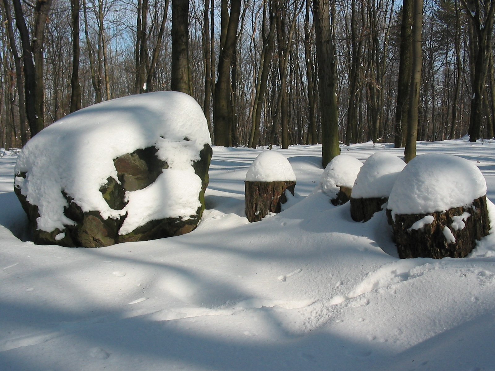 2010 02 14  Állatkert-Szentkút 029