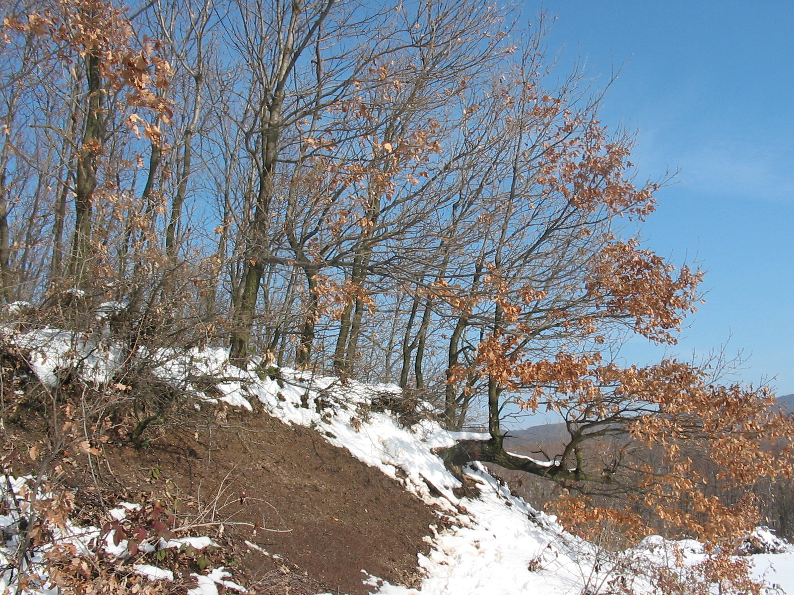 2010 02 14  Állatkert-Szentkút 042