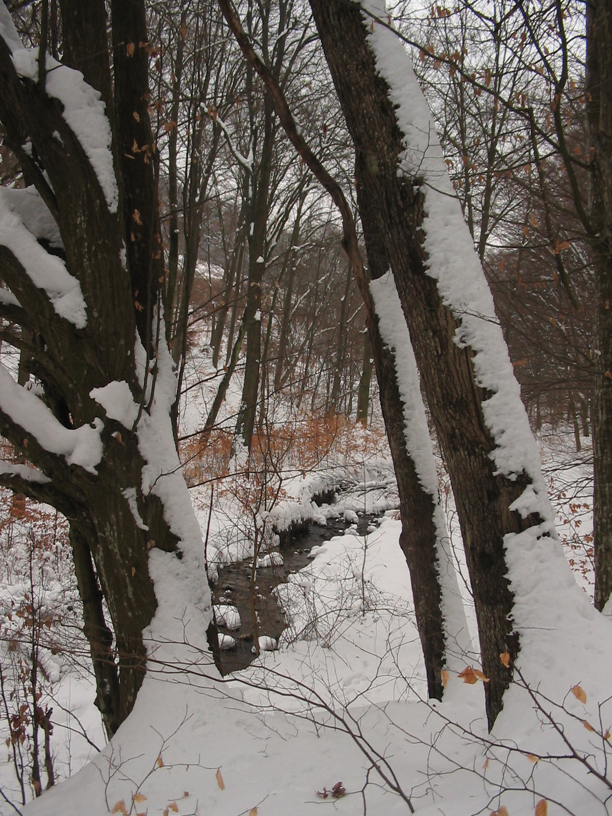 2010 02 15 Óbánya-Pécsvárad 102