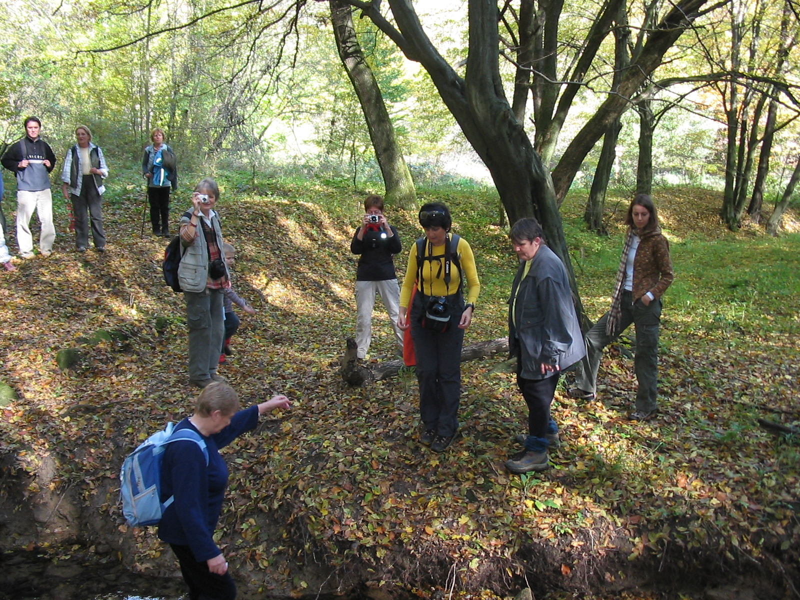 2010 10 23 Hosszúhetény -Szőlő 032