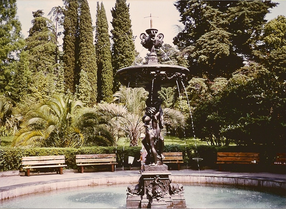 bámulatos a park